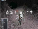 【FF11】ヒュム♀で古墳の骨に挑戦してみた