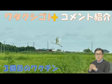 3回目のワクチン提携病院でその日の午後に（偉いさんの圧力で？）←同僚話【アラ還・読書中毒】コメ：イベルメクチン　駆虫薬で治ってると寄生虫でも入ってるのか！地政学的リスクは高まって！スマホを枕元から離す