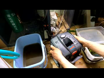 90cmで砂場のある水草水槽を立ち上げてみた[Part2]