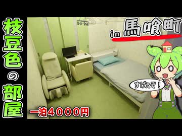 【自腹レビュー都内一泊4000円。馬喰町駅近にある緑すぎる激安ホテルに泊まってみた【VOICEVOX解説】