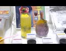 「オーロラ色の映えパウダー」　「90秒でラーメンロボット」業務用食品の展示商談会　福岡市で開催