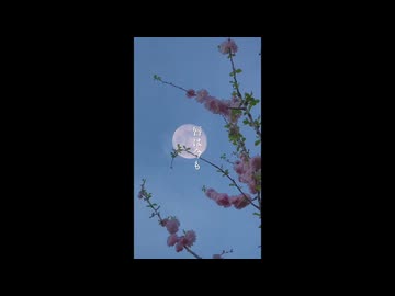餞に愛を / sabio 歌ってみた