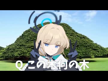 この木何の木？飛鳥馬トキ