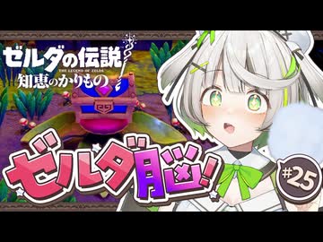 ゼルダの伝説 知恵のかりもの ┆ わたあめ食べてる場合じゃないッピ！ ┆25〖 初見実況 〗