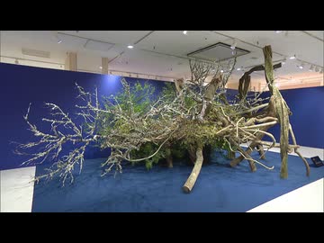 草月流100周年を記念するいけばな展　第四代家元の大作も　福岡市の博多阪急で開催