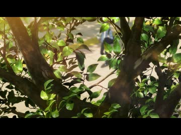 透明な夜に駆ける君と、目に見えない恋をした。 第12話「一生の想い出」