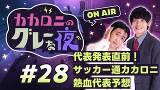 【ラジオ】カカロニのグレーな夜 #28 ～ 代表発表直前！ サッカー通カカロニ熱血代表予想  ～