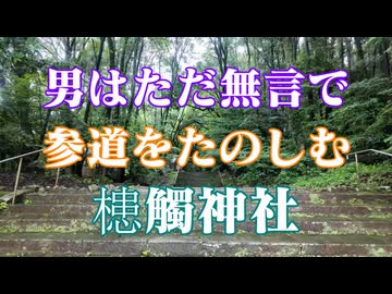 宮崎県　参道をたのしむ　槵觸神社！