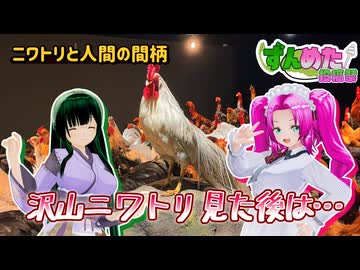 【ずんめた投稿祭2026】ニワトリと人間の間柄／沢山ニワトリ見た後は……