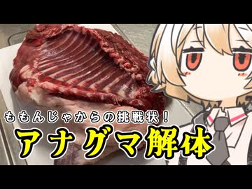 アナグマ【ナースロボ】