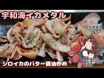 きりたんの釣果酒肴禄　シロイカのバター醤油炒め