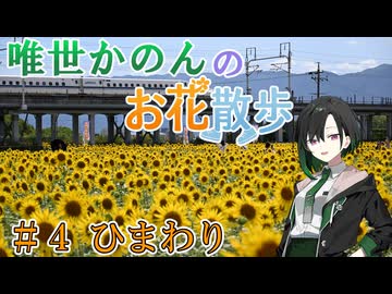 唯世かのんのお花散歩 #４ ひまわり