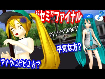 ネルさん・ミクさんの地元は"セミファイナル"シーズン真っ只中