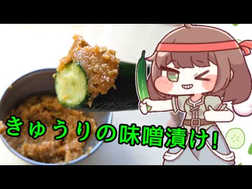 きゅうり料理してもいいですか！？ #きゅうりの味噌漬け【トリッカル】【第9回真・狂乱キュウイ合作単品】