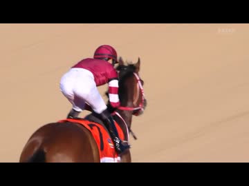 【フォーエバーヤング】2026 第108回ジョッキークラブゴールドカップGI