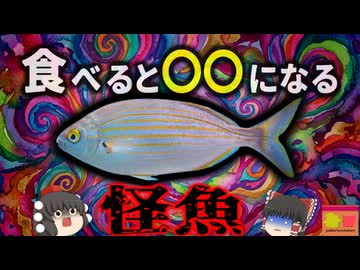 【1994】『食べると幻覚を見る魚』古代から知られる不思議な魚『サレマ・ポーギー』恐ろしい幻覚・幻聴の症状が現れる謎…きめぇ丸解説（ﾘﾒｲｸ