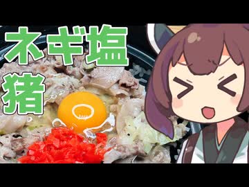 【スピード！】30分で作るネギ塩猪の土鍋丼！【ももんじゃきりたん】