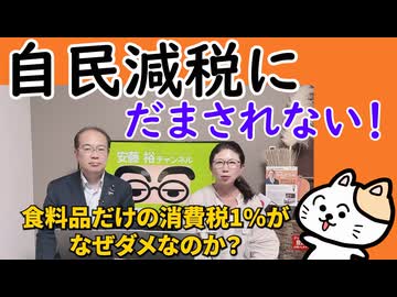 自民減税にだまされないで！
