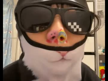 ぃ力にゃ　鼻にペイントをしておもしろ芸をしてみた