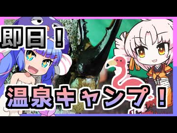 即日キャンプ！温泉とヘラクレスオオカブト！？【ウナついキャンプ】