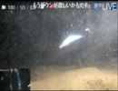 2023/10/06【水中実況#784】遠征話とか ポイントA 水温20℃【金曜定期便】前半