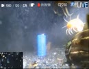 2023/10/06 【水中実況#784】遠征話とか ポイントA 水温20℃【金曜定期便】後半
