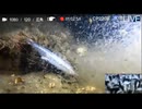 2023/10/13 【水中実況#785】とりあえず海で冷凍キビナゴを眺めよう　ポイントN 水温20℃【金曜定期便】