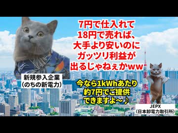 【新電力 電力自由化】契約者が多い会社ほど赤字が膨らむ！？電力自由化で爆誕した新電力が119社も撤退した理由 #猫マニ #猫ミーム