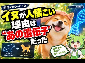 【最新ニュース1分解説】イヌが人懐こいのは「あの遺伝子」のおかげだった【ずんだもん解説】