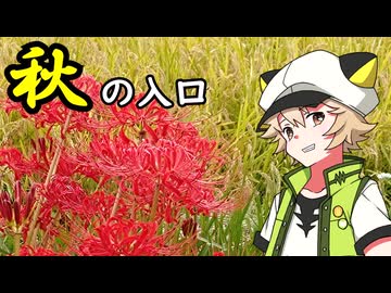 【Voltyでﾄｺﾄｺﾂｰ】秋の入口を見に行こう【VOICEVOX車載】