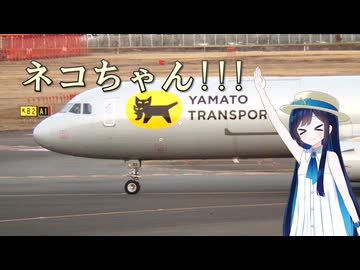 【千冬の自作レンズ】凹レンズを使って超望遠のテレフォトレンズを作ってみた(後編)