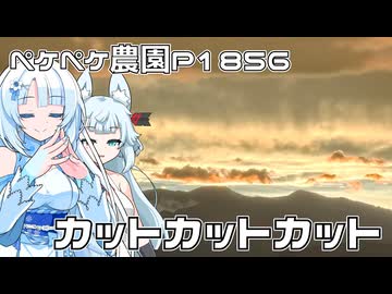 2026年9月21日　日記1856　台風の接近したら雨が降っている