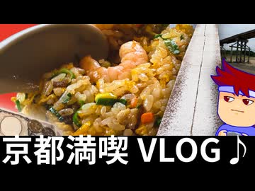 【京都VLOG】初めての超超！感動体験！ゲームにグルメに寺院も登場♪昼も夜も満喫しまくっちゃう京都の二日間！編。【バーチャルいいゲーマー】