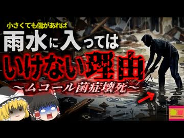 【2011】『小さな傷から壊死』竜巻災害で負傷した男性 傷口からカビの一種が侵入し内側から壊死し切除することに…水害などで冠水した水に触れてはいけない理由『ムコール菌症』解説（ﾘﾒｲｸ