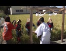 宮中行事｢新嘗祭｣に献上する福岡県産米｢元気つくし｣を刈り取り　福岡県大川市で