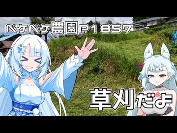 2026年9月22日　日記1857　天気が良くなったから草刈り頑張るよ