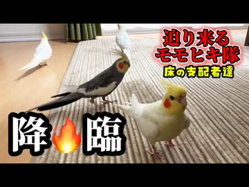 迫り来るモモヒキ隊「床の支配者」ついに降臨□ #床のラスボス