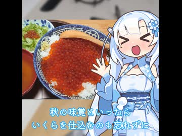 【WhiteCUL】ランチタイム雪さん その24：今の時期にしか出来ないのでいくらを漬けこんでおきませんか？【VOICEVOX】【スピード料理投稿祭】