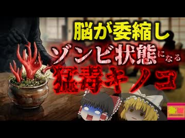 【1999】『猛毒茸を酒に漬けて飲んだ結果』→体が内側から破壊され全身水ぶくれのゾンビのような状態になり死亡…温泉旅館に飾られていた猛毒のキノコを無断で食べた男たち…『カエンタケ酒事件』を解説