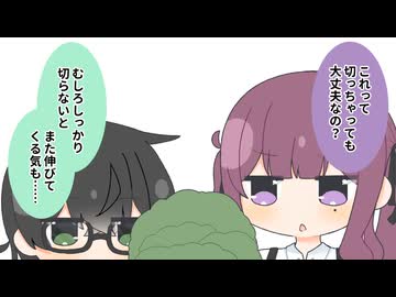 いのち / だから