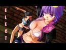 【パチュリー＆小悪魔】　ELECT　【1080p】