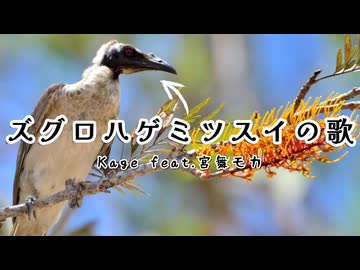 ズグロハゲミツスイの歌 / Kage feat.宮舞モカ