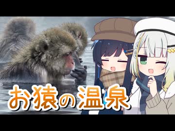 【お猿の温泉】信州地獄谷野猿公苑に行こう！　つのふた投稿祭2026