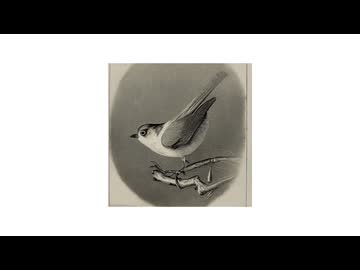 【IA／ついなちゃん】こまどりのお葬式（'26 ver.）【オリジナル／北原白秋／まざあ・ぐうす】
