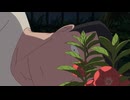 ホウセンカ