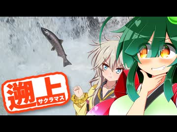 MT-01で北海道2023_part9【ずんつむ車載】
