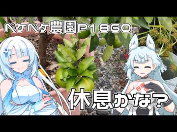 2026年9月25日　日記1860　午後は頑張ろうと思ったけど、負けちゃった・・・