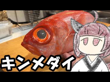 キンメダイを食べましょう【きりたんのテキトークッキング】