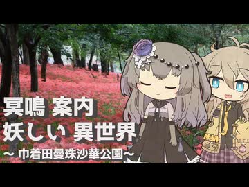 【VOICEVOX旅行】冥鳴 案内 妖しい 異世界  ～巾着田曼珠沙華公園～【ラップっぽいなにか】