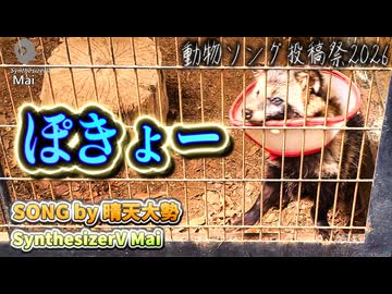 ぽきょー / 晴天大勢 feat.SynthV Mai 【動物ソング投稿祭2026】